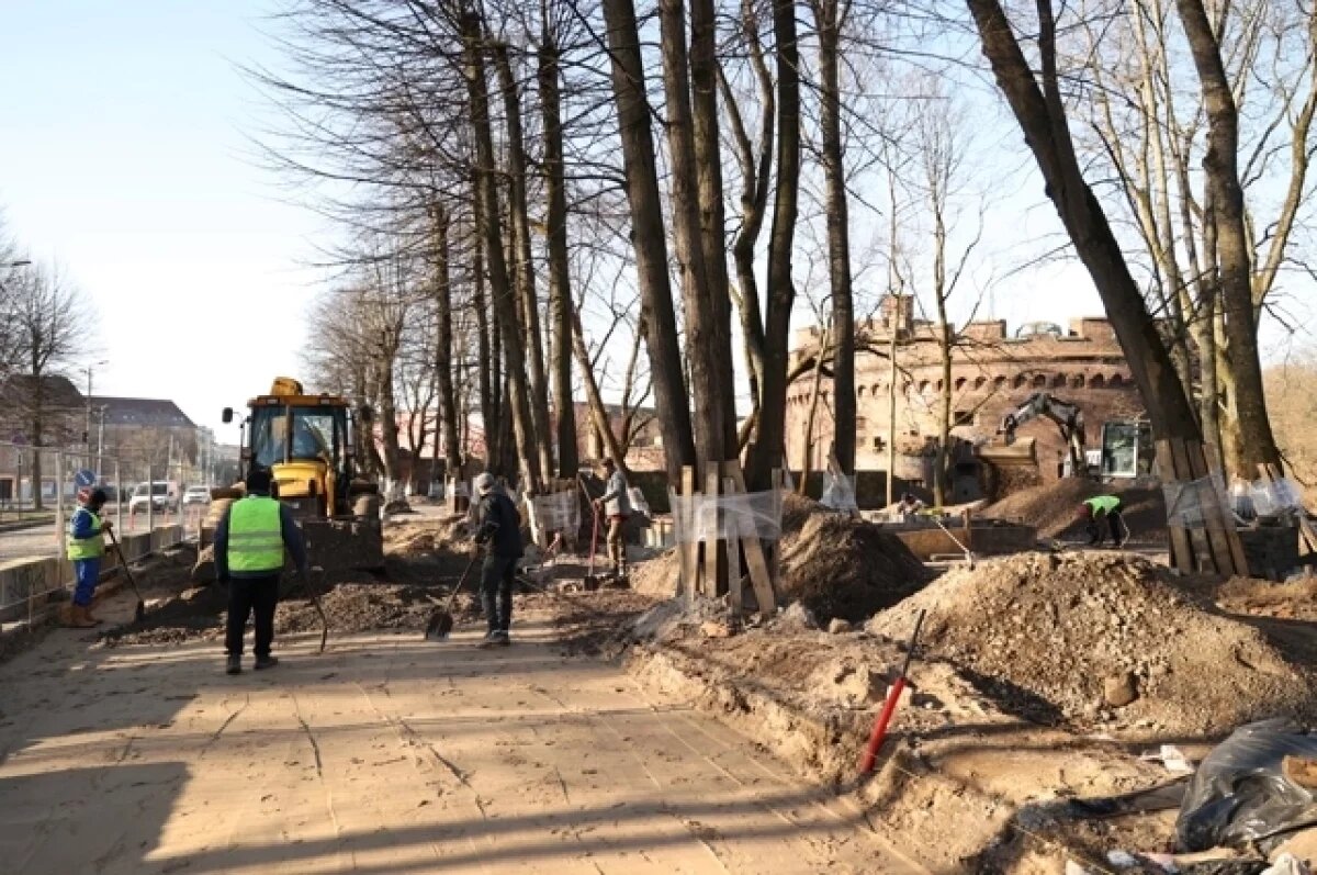    Парк за башней Врангеля.