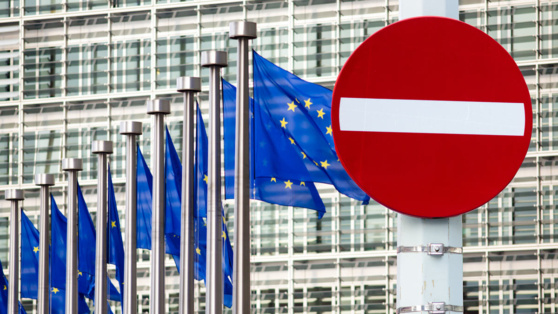    Идею отправки миротворцев на Украину не поддержали в ЕС ©Andrey_Kuzmin/Shutterstock/Fotodom