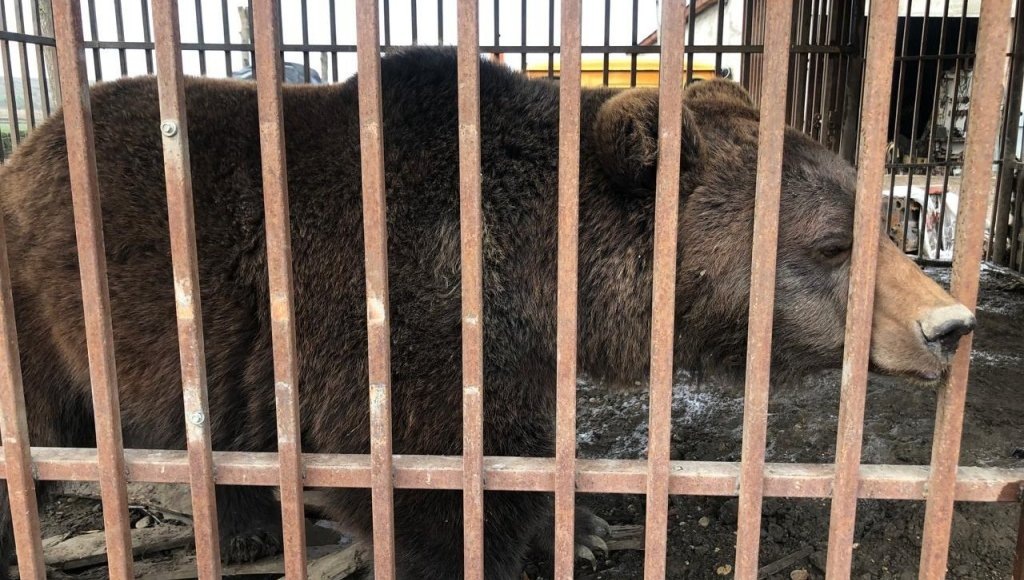    Фото: Росприроднадзор