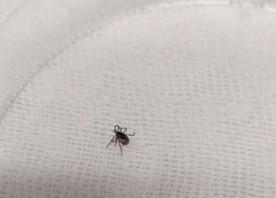 Фото: Роспотребнадзор Красноярского края