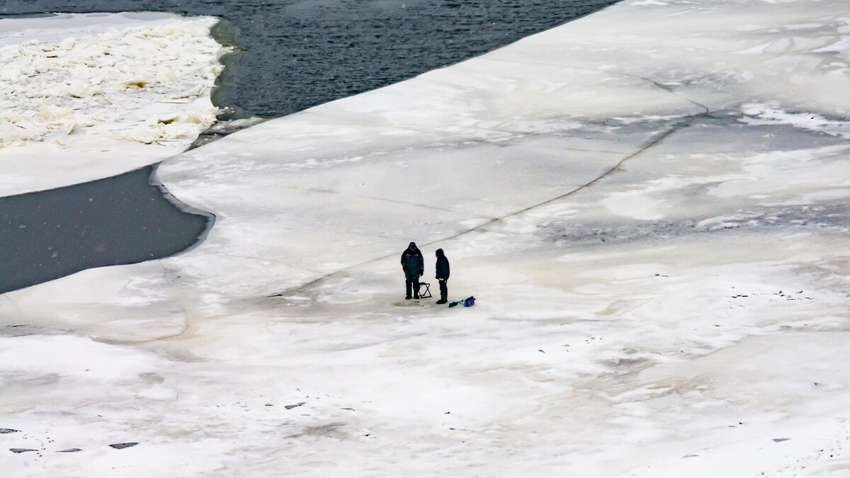   Фото: Svetlana Vozmilova/globallookpress.com