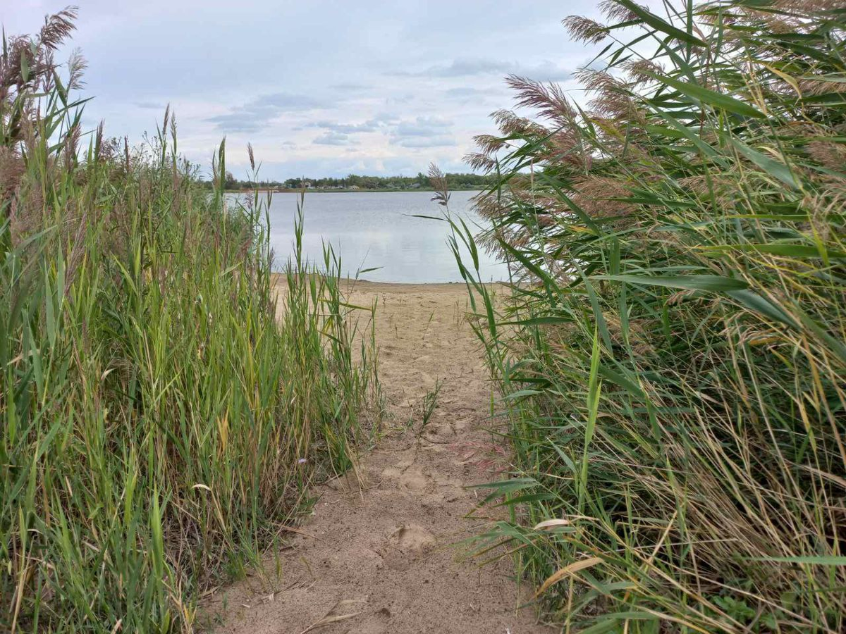 Фото автора.