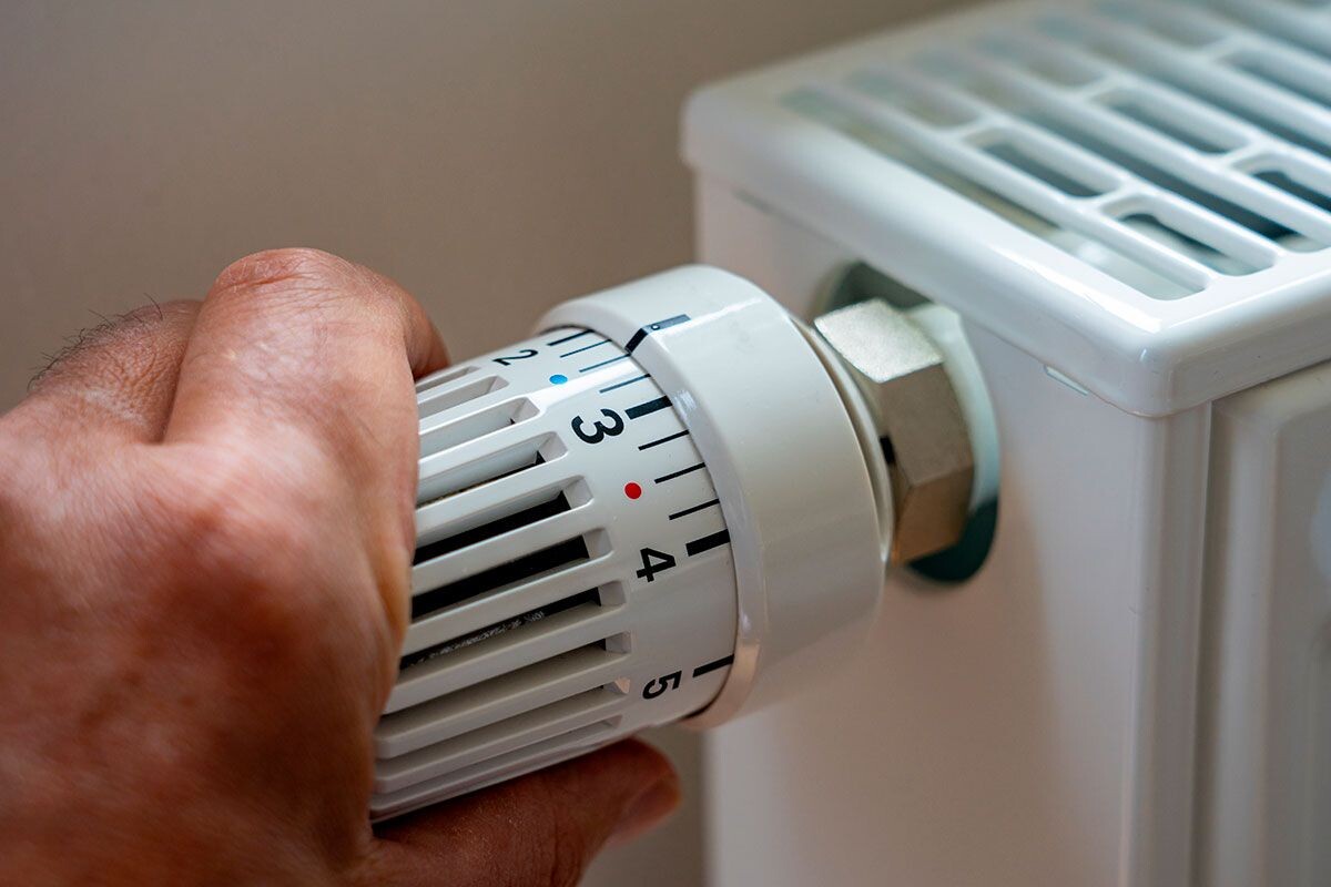    Фото: Frank Lambert / Shutterstock.com