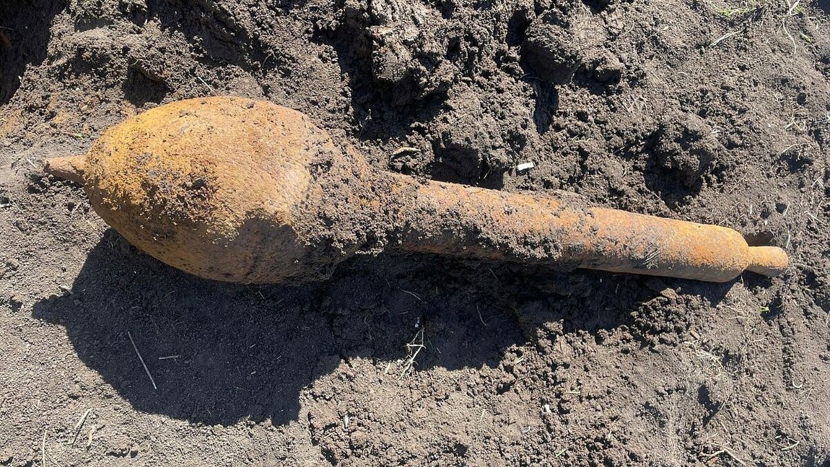    Фото: t.me/rosgvard_krasnodar