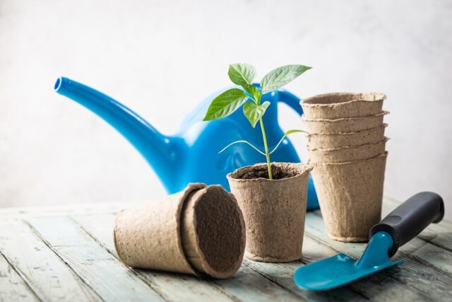     Фото Tatiana Goskova на freepik.com