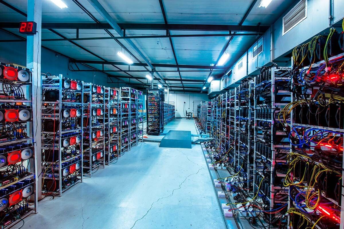    Фото: PHOTOCREO Michal Bednarek / Shutterstock.com