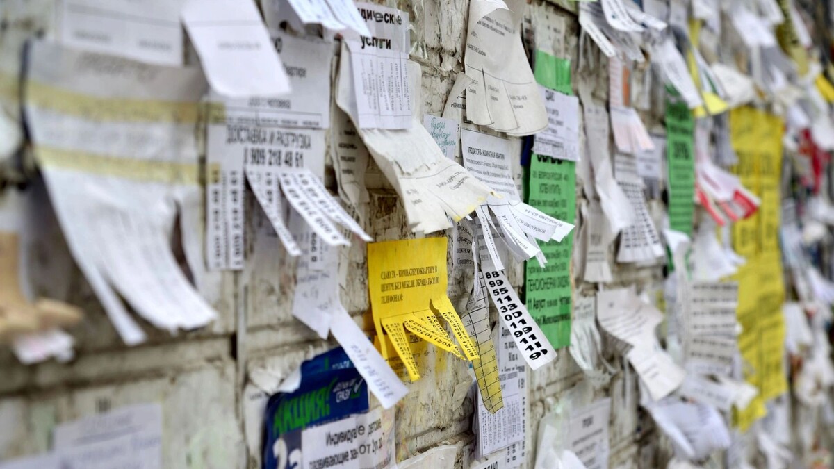    Фото: BestPhotoPlus/Shutterstock/Fotodom