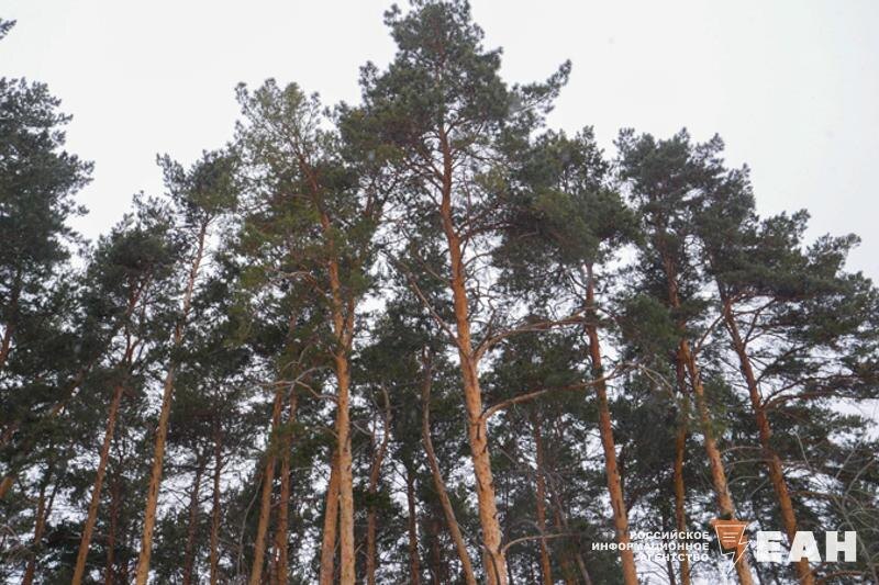    Архивное фото ЕАН