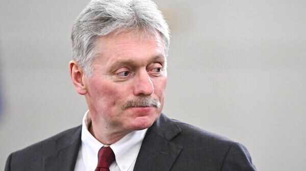    © Sputnik / Сергей Бобылев