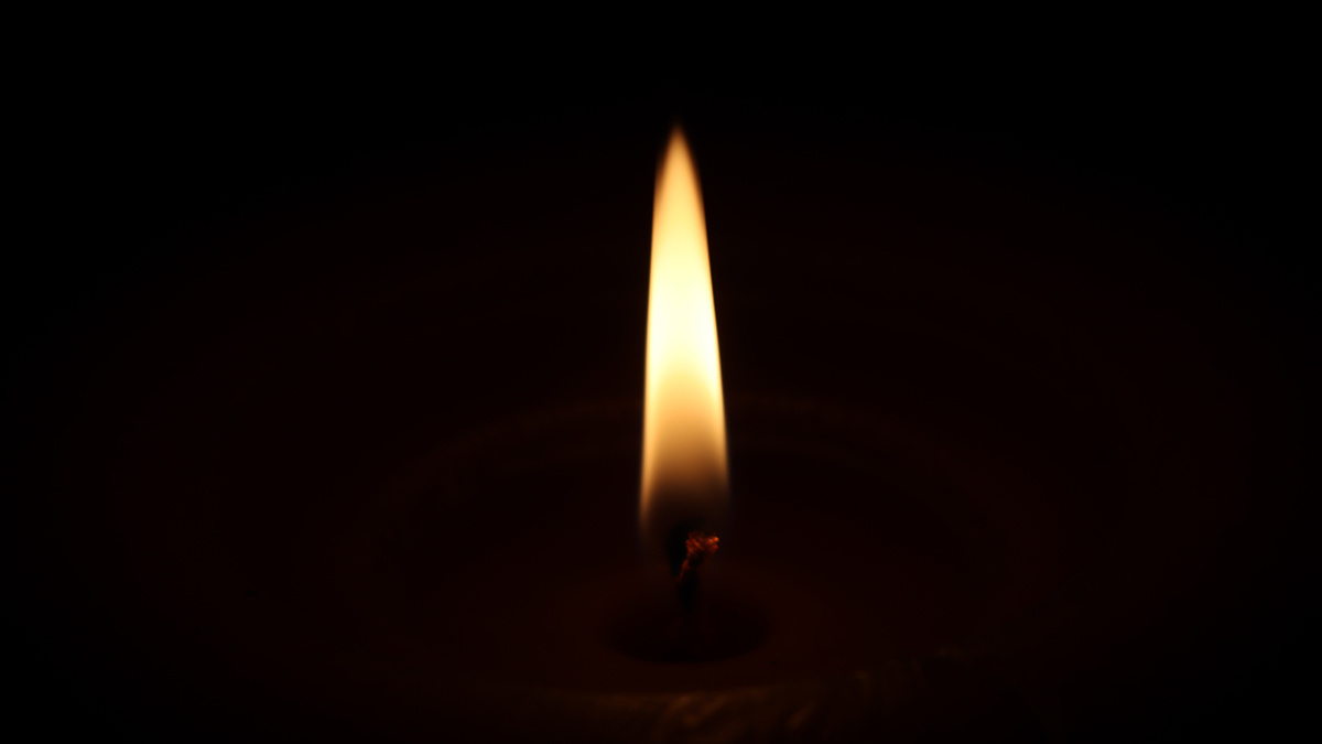    Фото: vm.ru Георгий