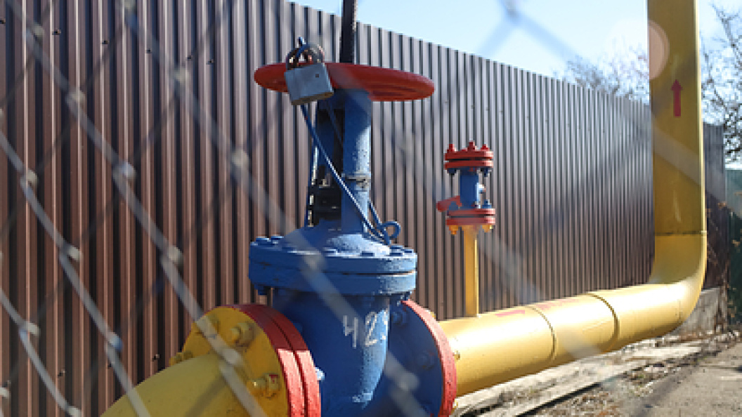    Фото: Elena Mayorova/Global Look Press/Globallookpress