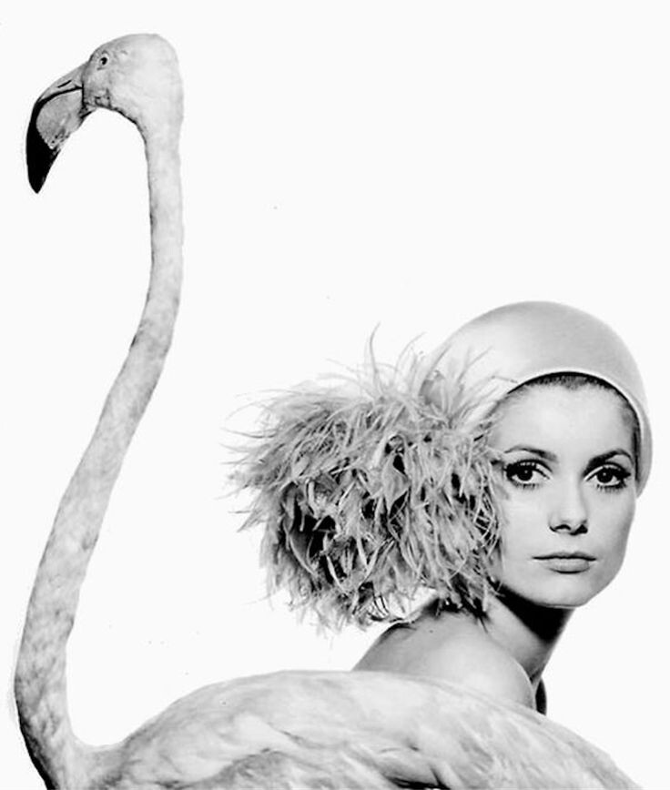 Катрин Денёв