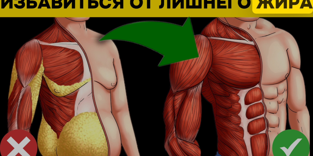 Почему мужской живот растёт первым: 6 причин, о которых не расскажут