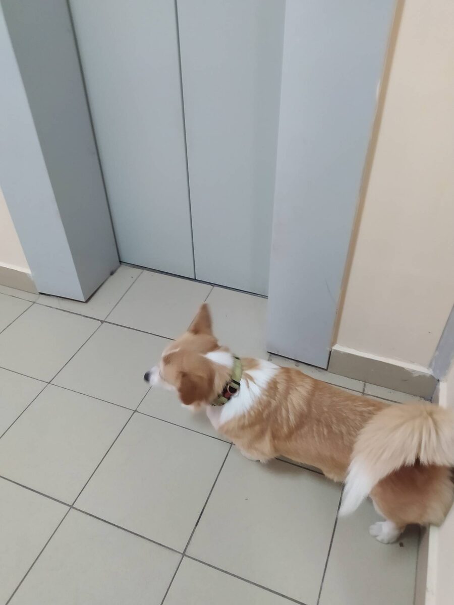 МЕсто для разворота