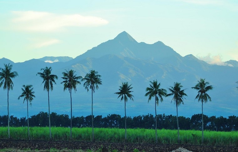    Joseph C. Ceriales/ZUMAPRESS.com/Global Look Press