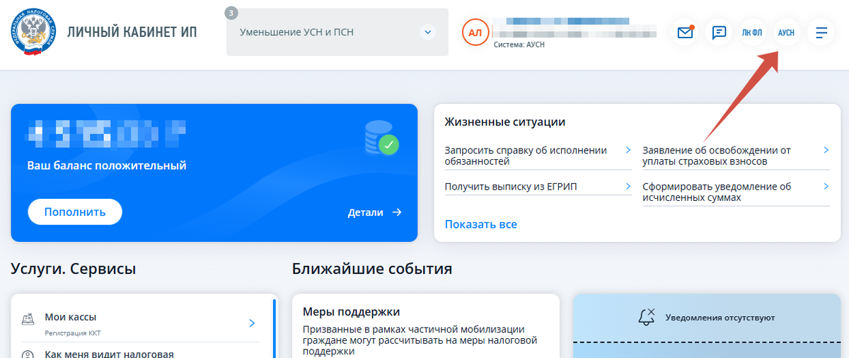 Личный кабинет ИП - Главная страница.