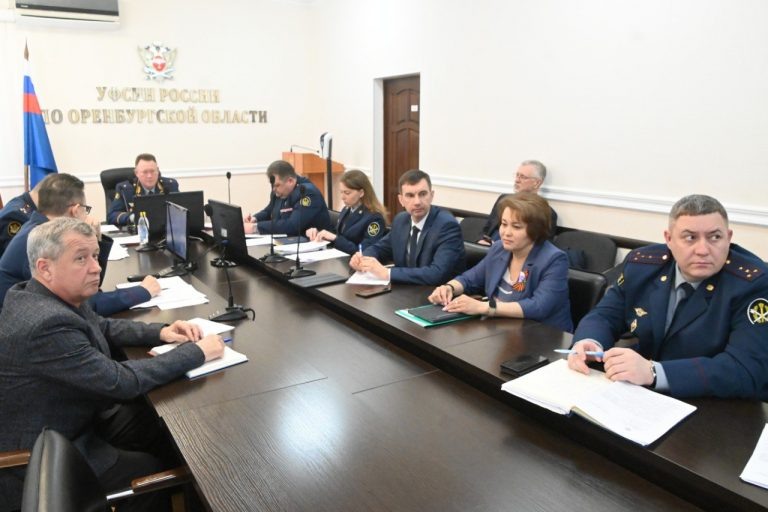    Руководство оренбургского УФСИН приняло участие в совещании при Совфеде Антон Пичурин