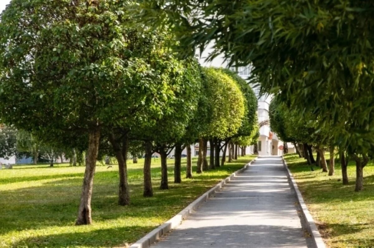    Аллею в центре Екатеринбурга назвали в честь студентов-фронтовиков