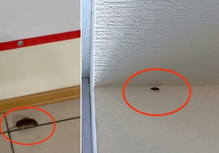    Фото предоставлено ОНФ Ольга Чистова