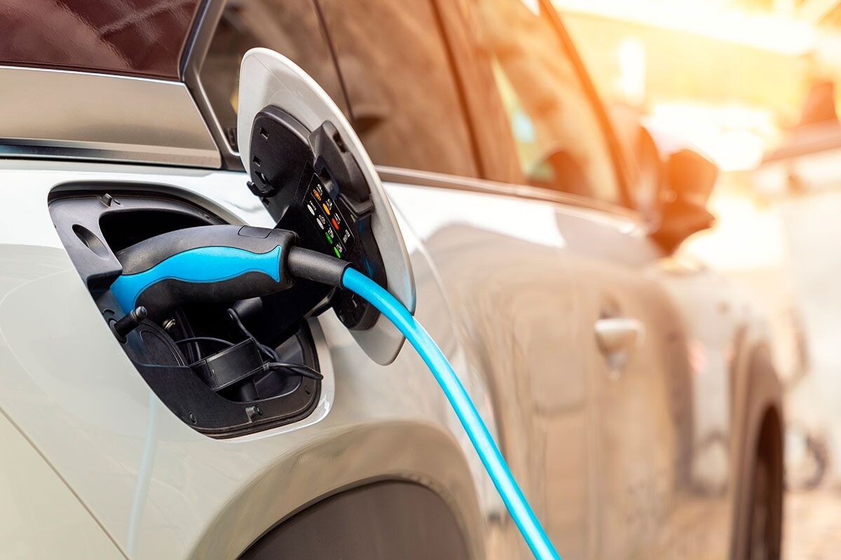    Фото: K-FK / Shutterstock.com