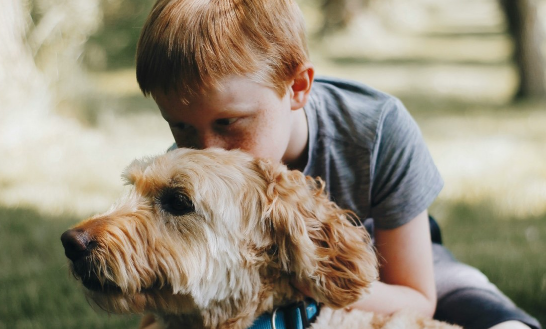 Источник: фото из интернета