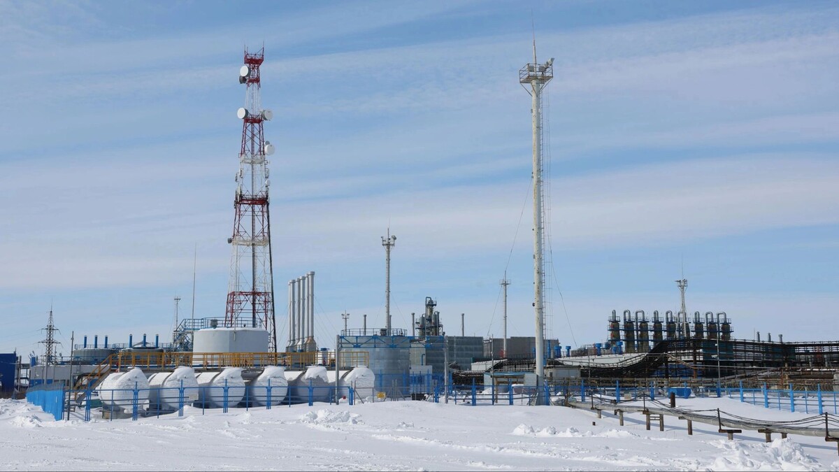    Фото: Андрей Ткачев/«Ямал-Медиа»