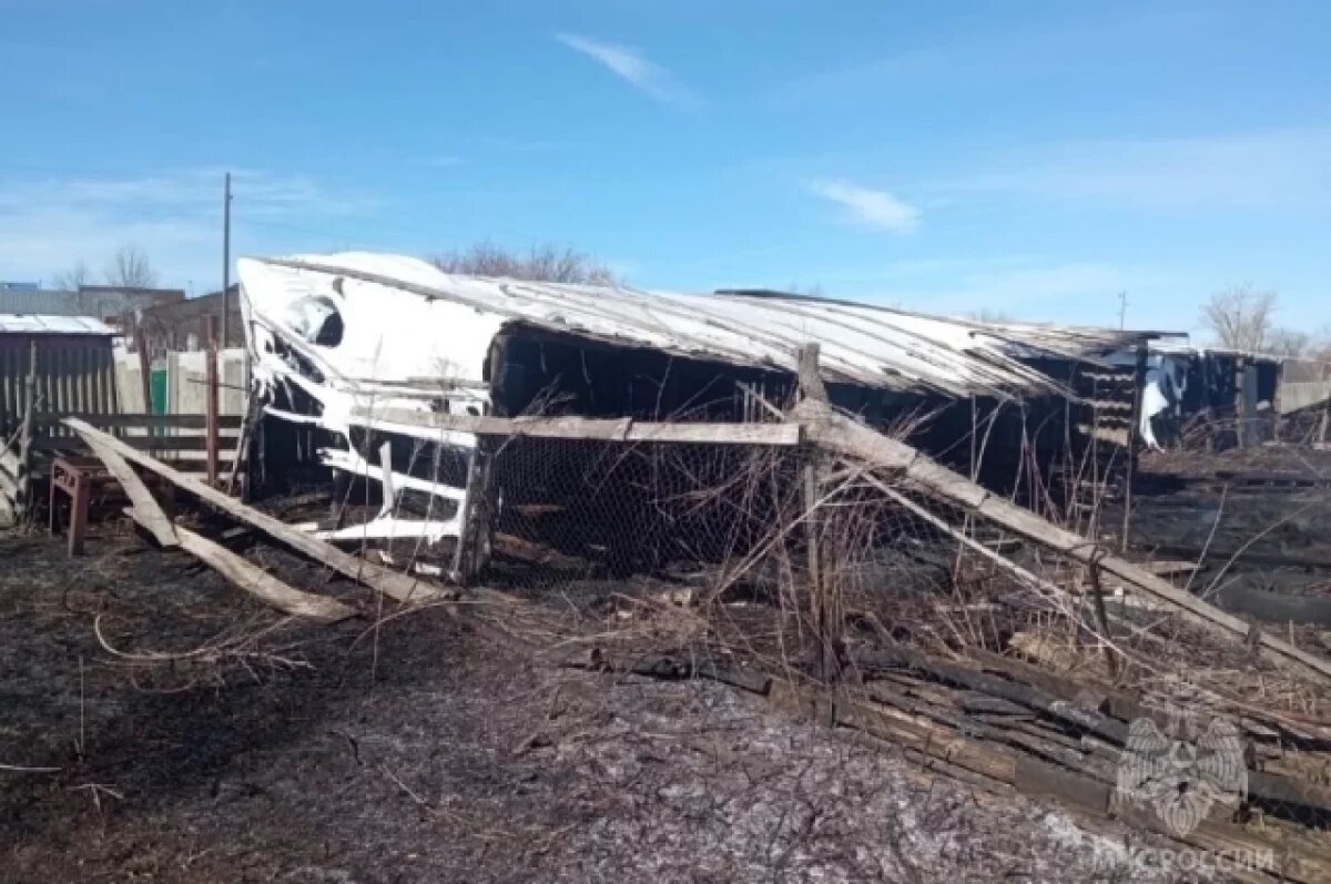    В Варваровке под Пензой мужчина поджег траву, загорелся деревянный навес