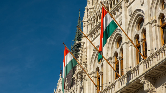    Венгрия призвала не торопиться с гарантиями безопасности Украине ©Sitthipong Pengjan/Shutterstock/Fotodom