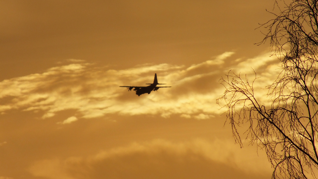    фото: Victor Lisitsyn/Global Look Press