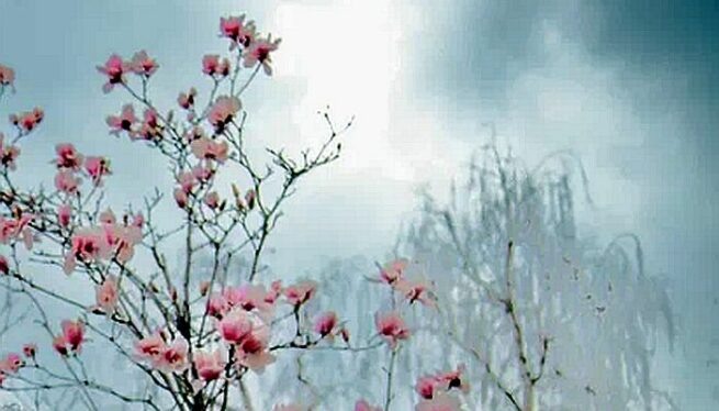 Фото: "Краснодарские известия"