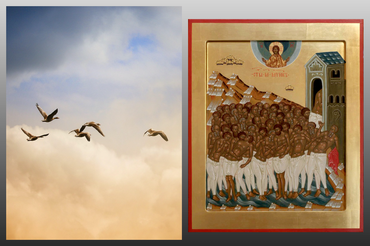 Икона 40 мучеников Севастийских/azbuka.ru, Птицы/pixabay.com