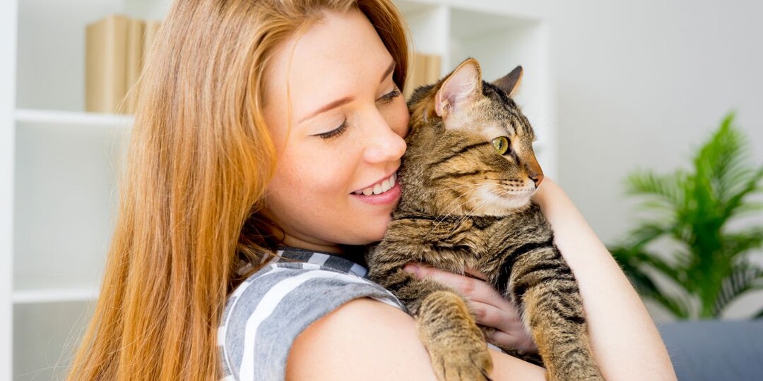 6 фраз, которые ваша кошка слышит каждый день — узнали себя?