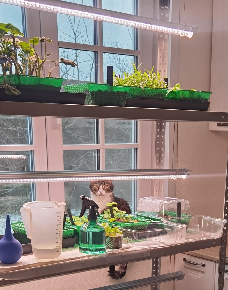 Среди своих посадок 