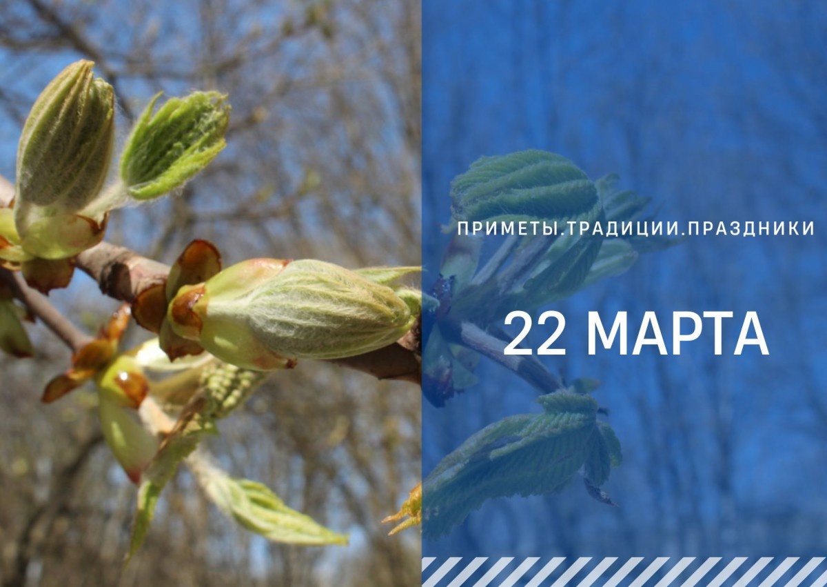   ГТРК "Ставрополье"