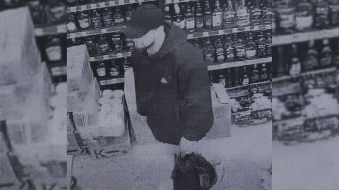 Фото: пресс-служба Управления вневедомственной охраны войск национальной гвардии Российской Федерации по г. Санкт-Петербургу и Ленинградской области