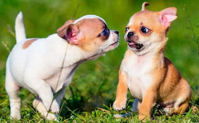 Источник: https://www.youtube.com/watch?v=SHkNs3axFeo 