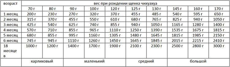 Источник: https://usobaki.com/feeding-chihuahua/