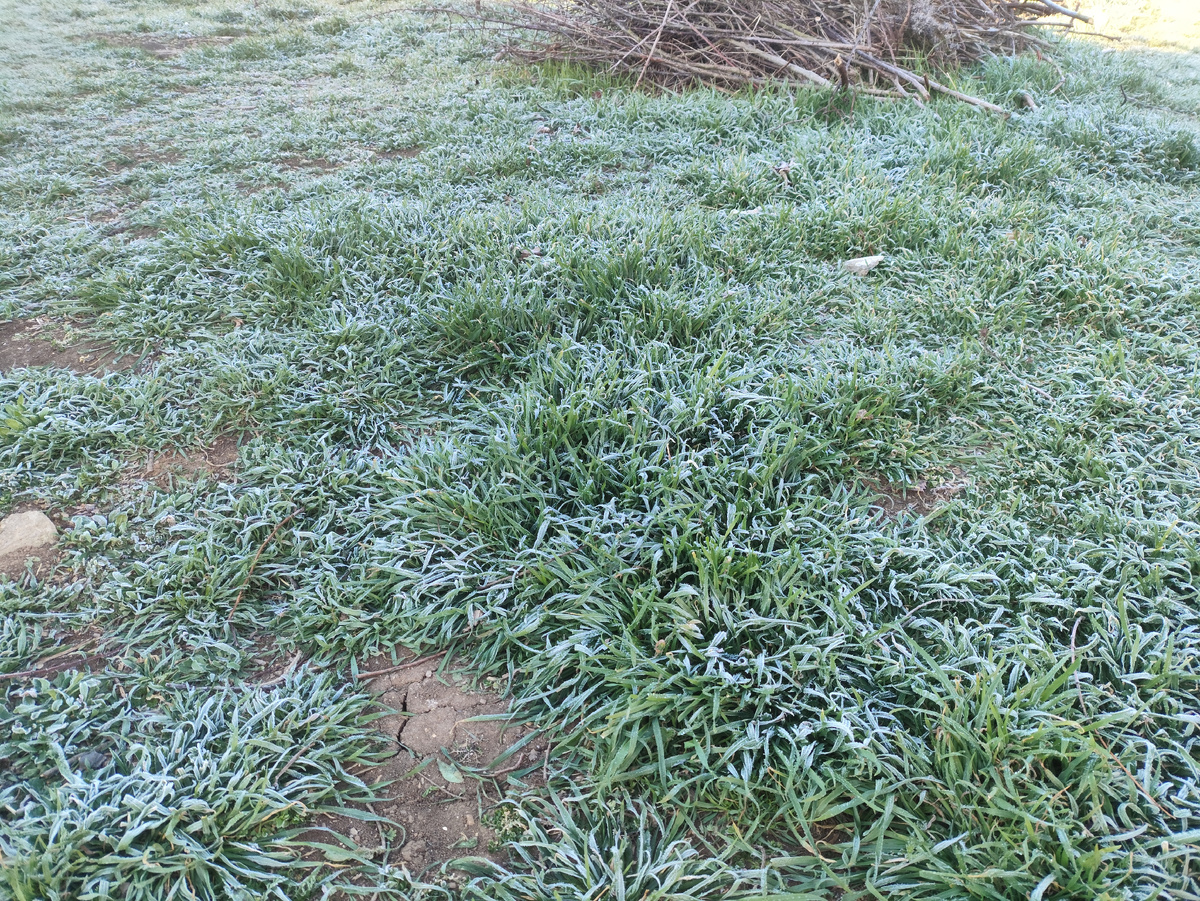 В тени все белое