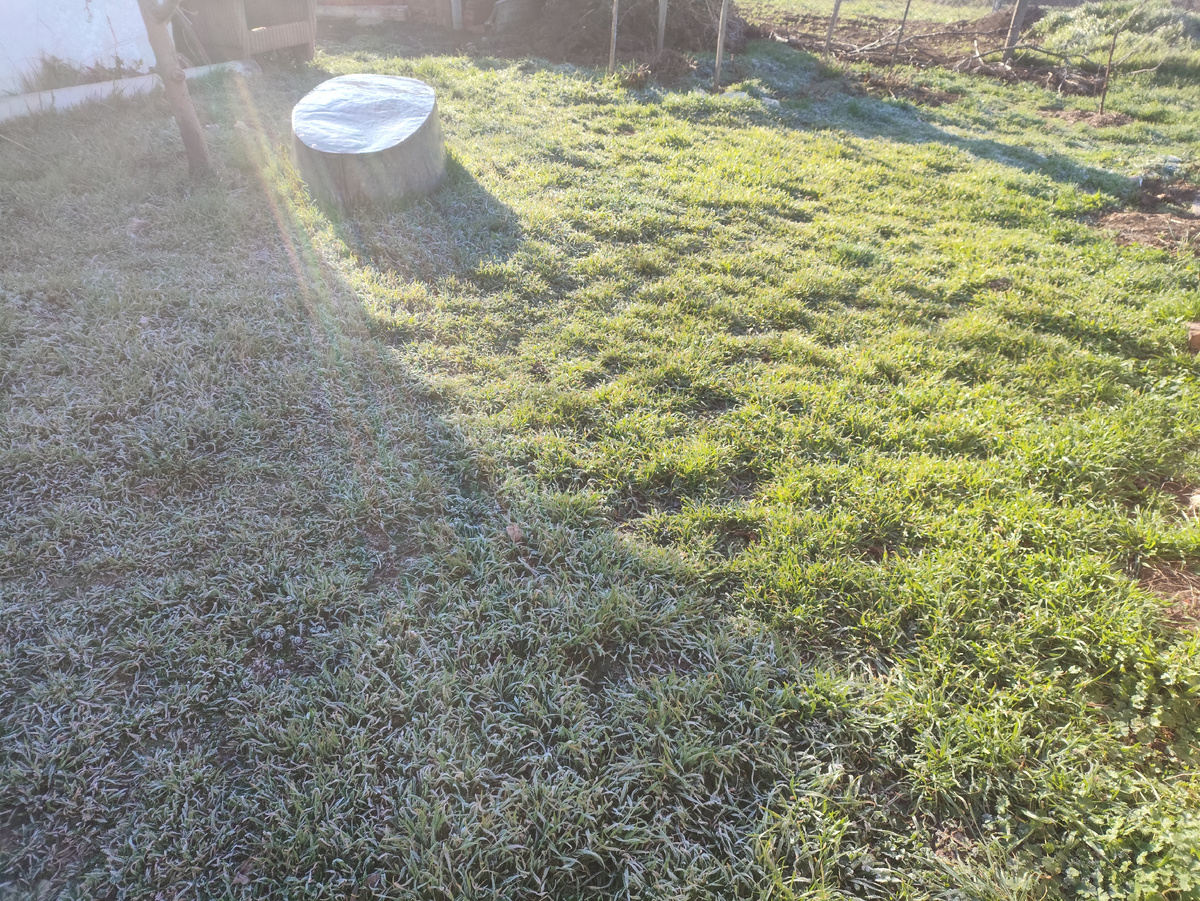 Тут пополам, на солнце уже оттаяла травка