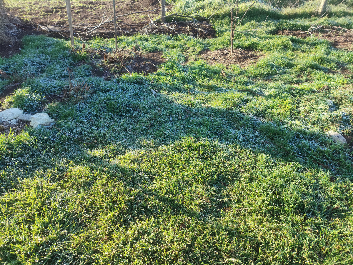 Тут еще смешнее, тень от дерева )))