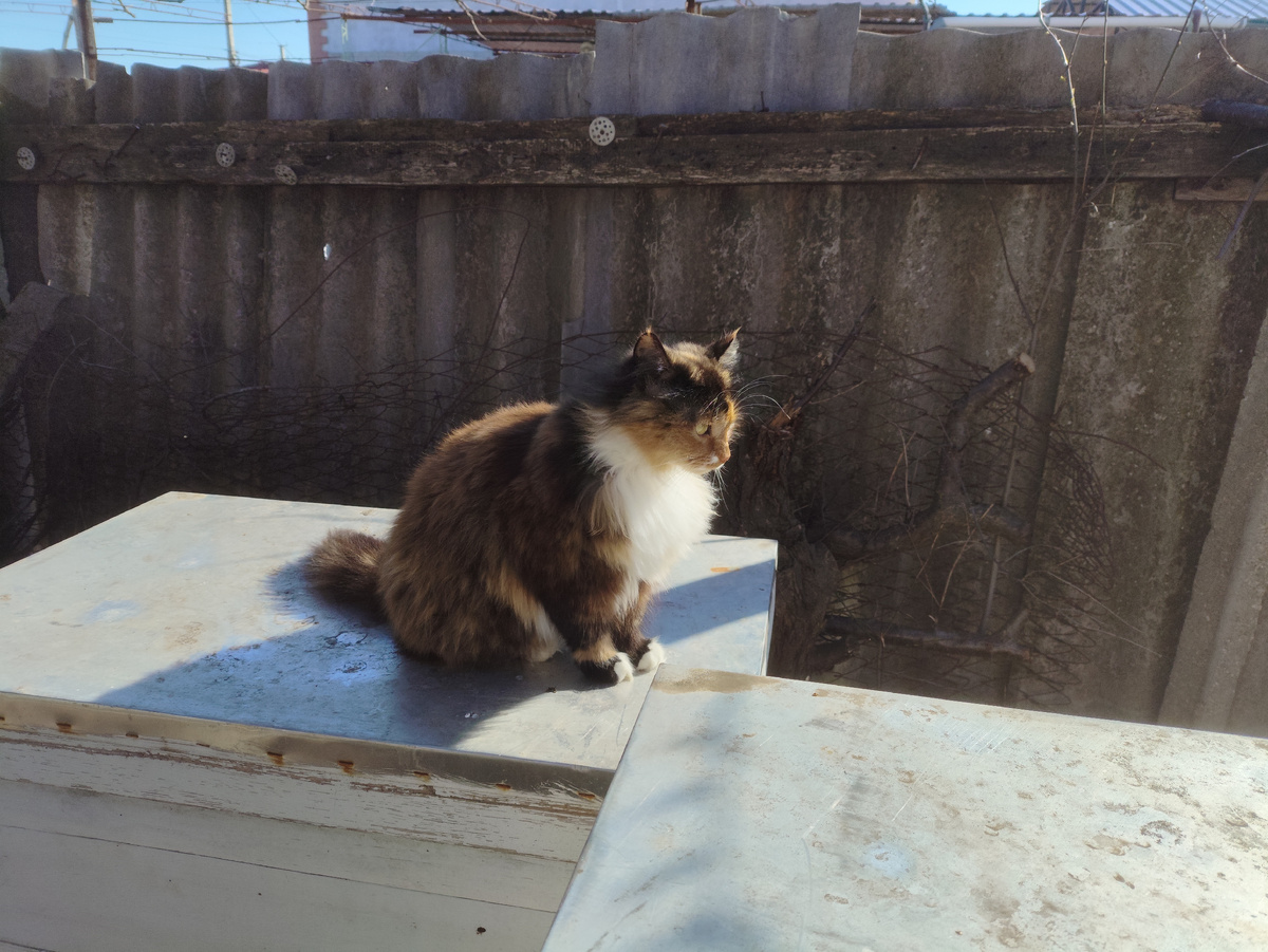 Ты правильно складываешь, мама?