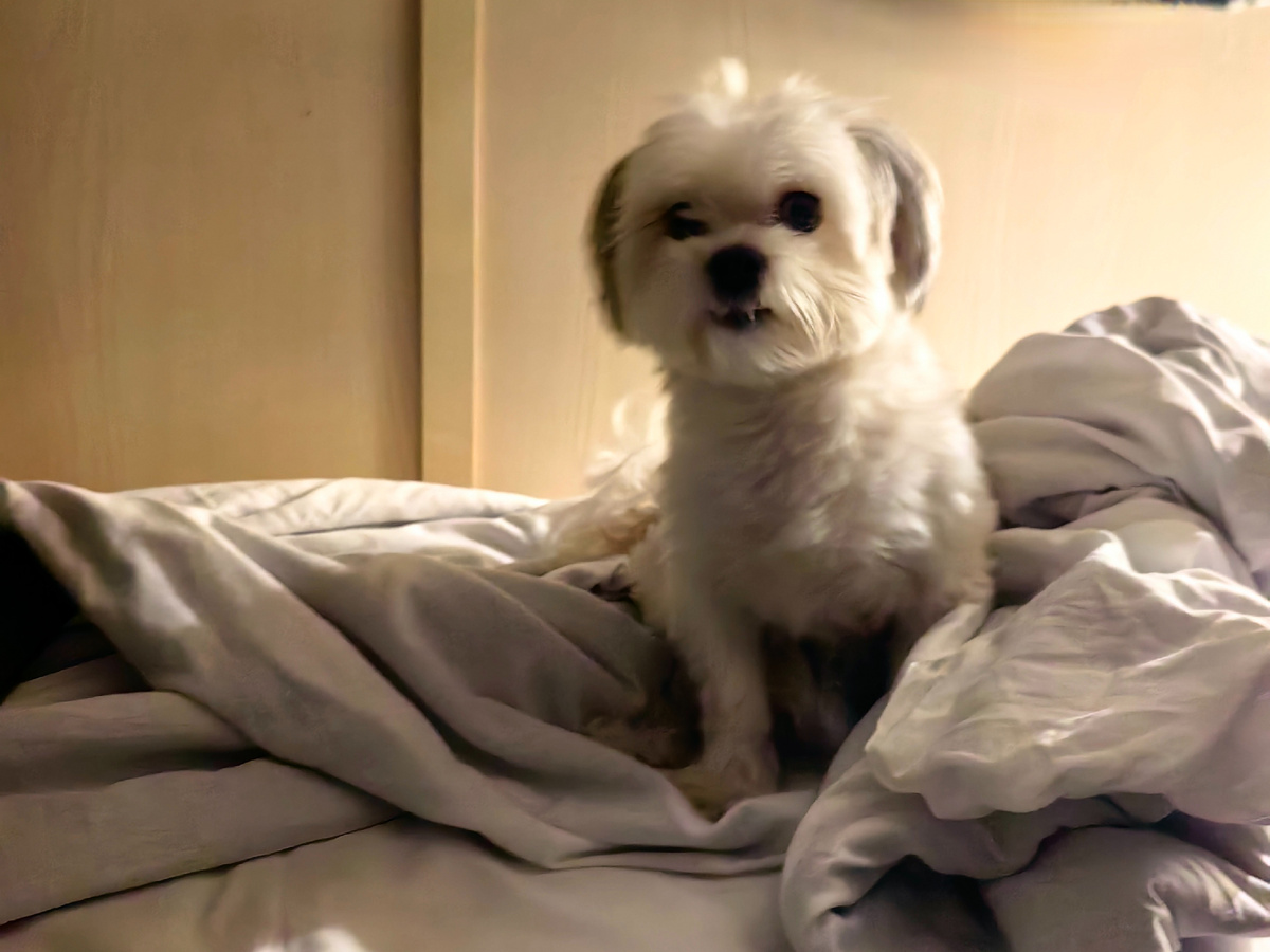 Герой публикации.