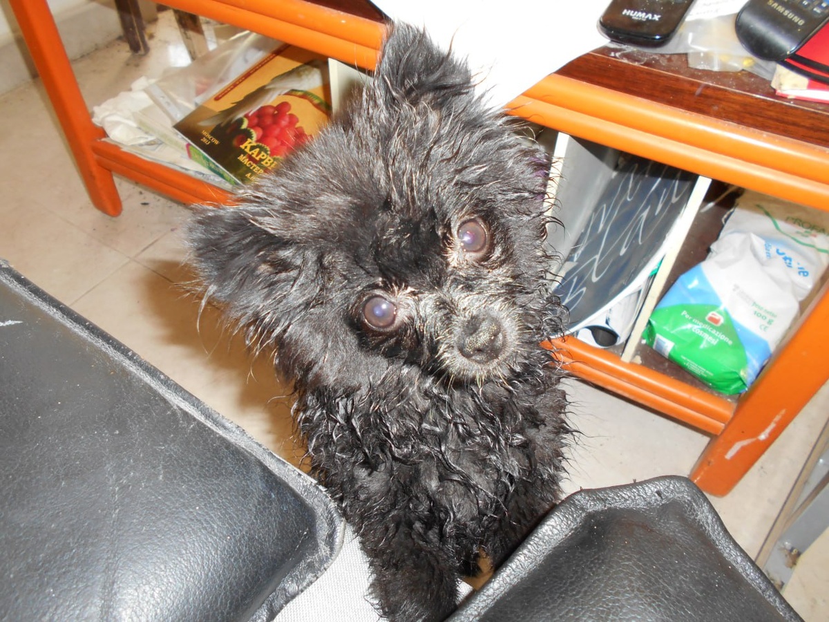 Данка. Фото автора 