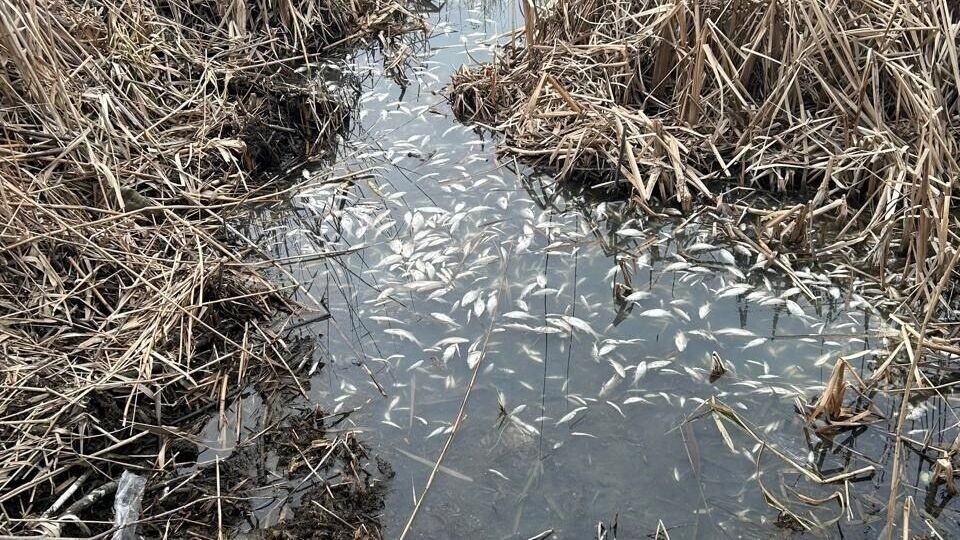     Источник: страница Вячеслава Гладкова в соцсети