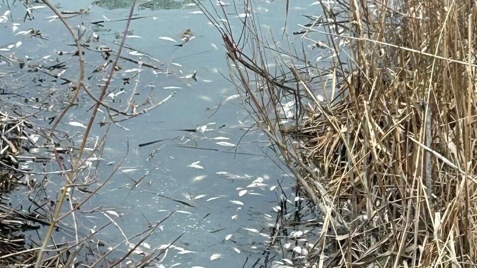    Источник: страница Вячеслава Гладкова в соцсети