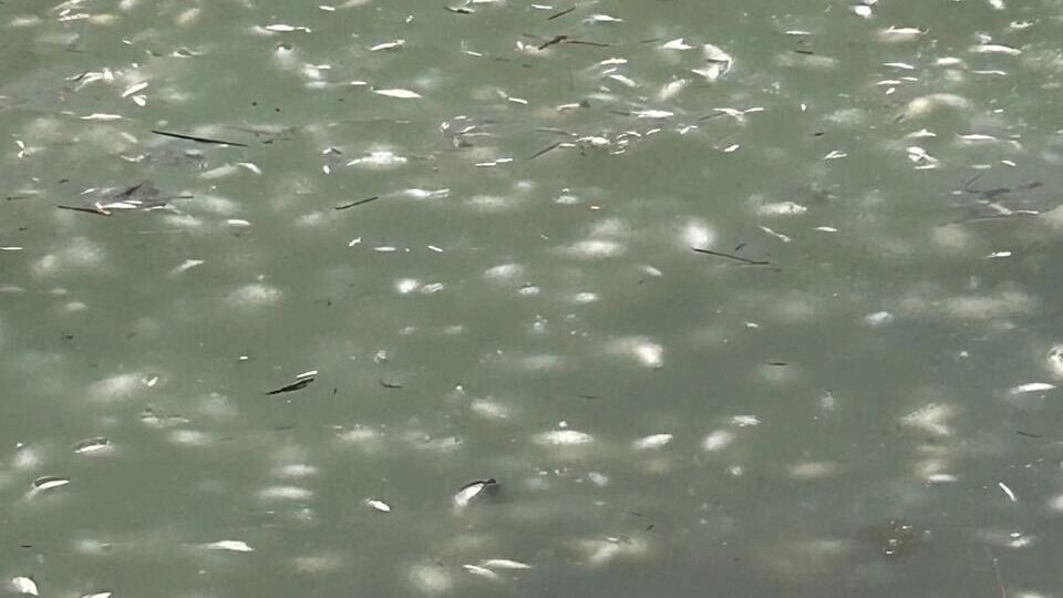     Источник: страница Вячеслава Гладкова в соцсети