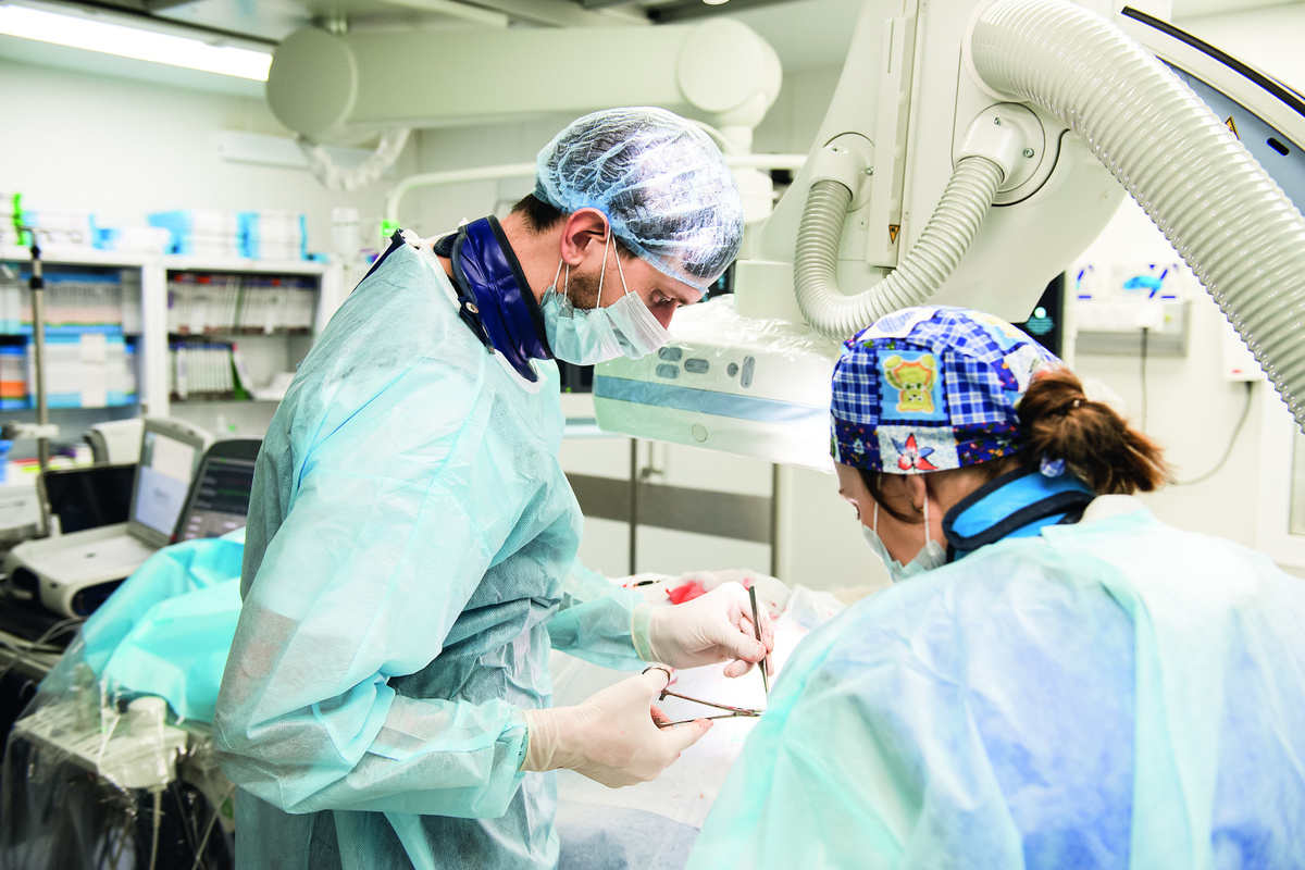 Фото: пресс-служба ГКБ № 52