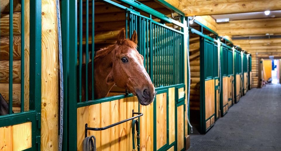    пресс-служба АО "Мосооблгаз"