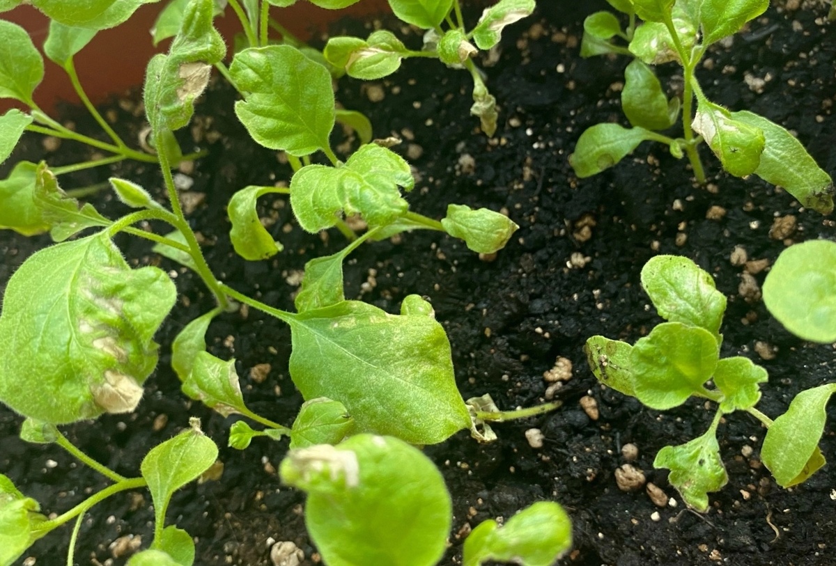 свободный доступ интернет