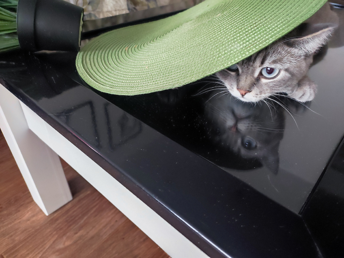 Опять хулиганит 